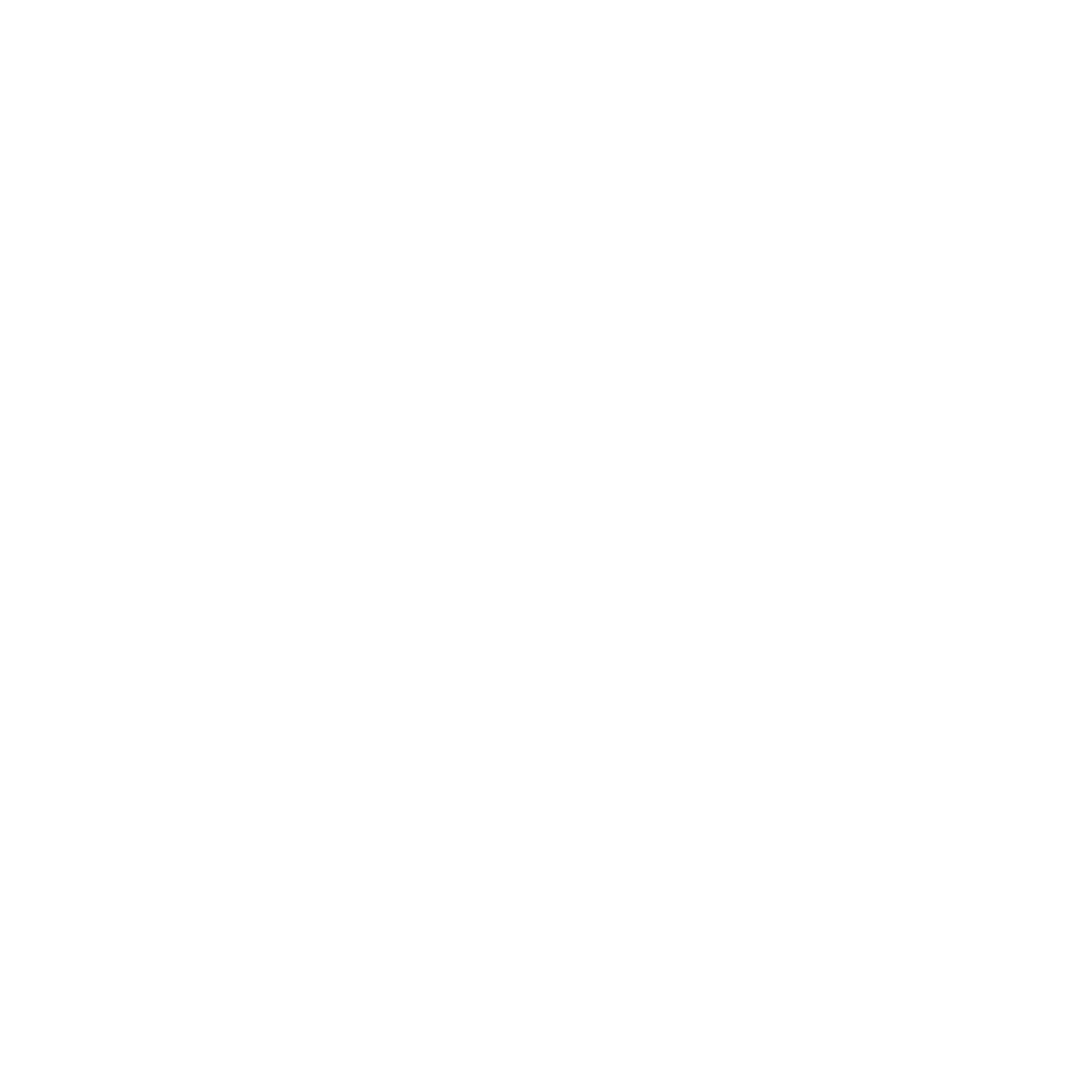 LOGO REISP